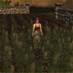 Good tilled earth