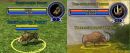 The epic journey from pig to pig